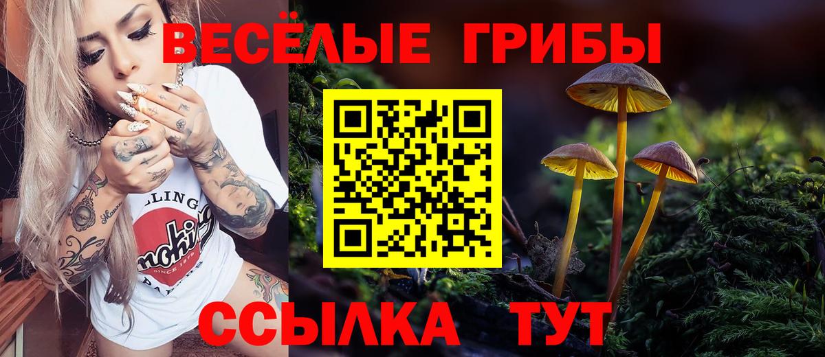 Галлюциногенные грибы прущие грибы  Вход с VPN  Павловский Посад 